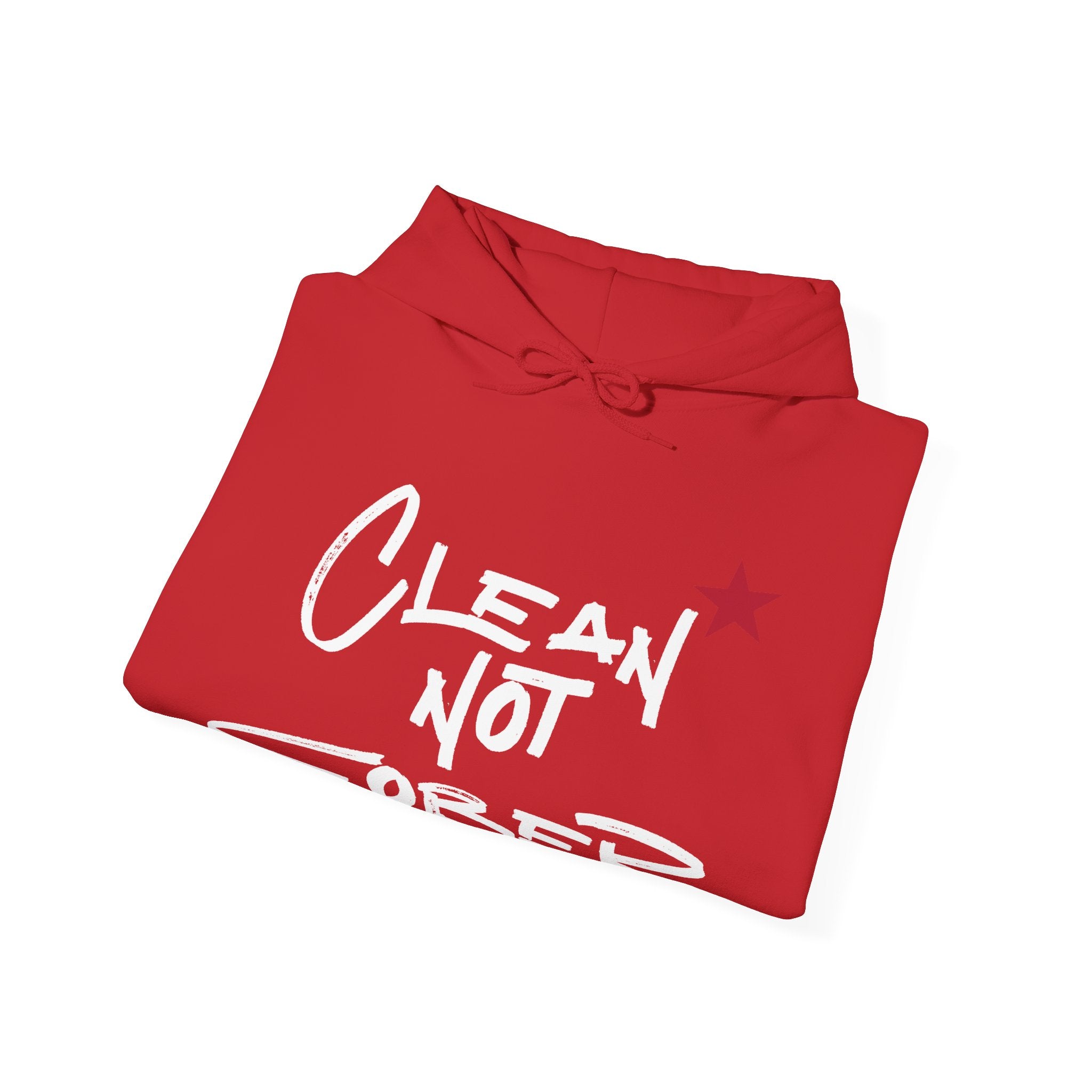 Clean Not Sober Hoodie