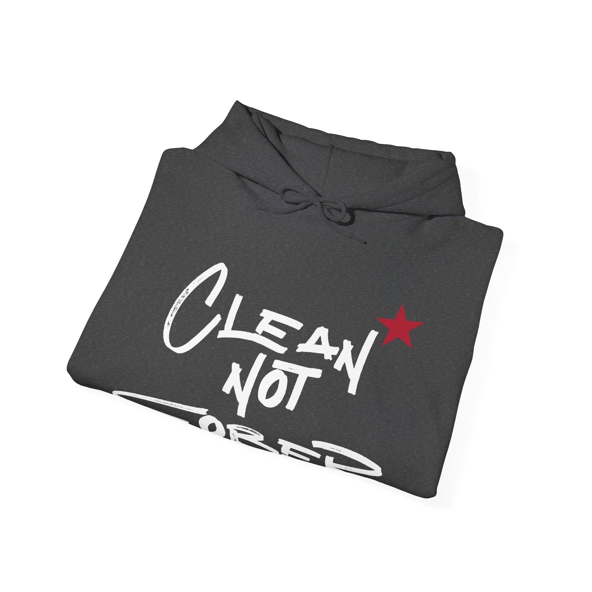 Clean Not Sober Hoodie